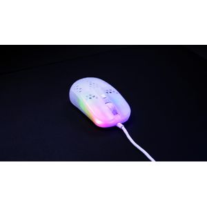 MZ1-RGB-WHITE-TP-Galeria-8