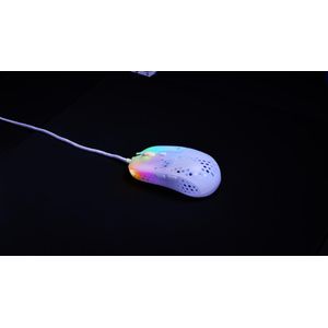 MZ1-RGB-WHITE-TP-Galeria-9