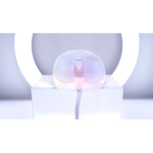 MZ1-RGB-WHITE-TP-Galeria-10