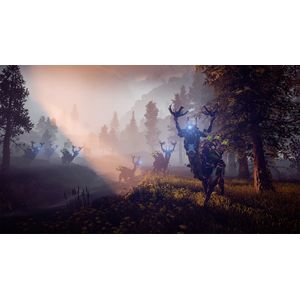 9708216-Galeria-5