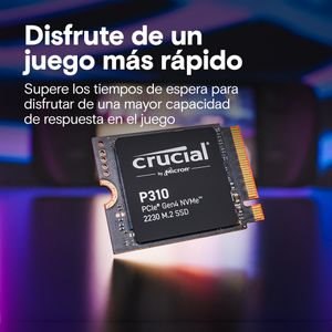 CT1000P310SSD2-Galeria-4
