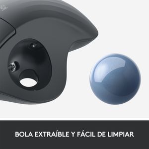 910-005872-Galeria-13