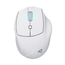 RATON-GAMING-SHARKOON-OFFICEPAL-M25W-BLANCO