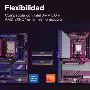 CP2K32G64C40U5B-Galeria-4