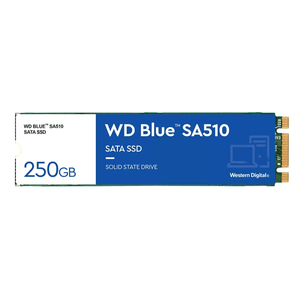 DISCO-DURO-SSD-250GB-M.2--WESTERN-DIGITAL-BlueSA510-555MB-s-6Gbit-s--Serial-ATA-III