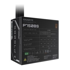 GP-P750BS-PSU-Galeria-6