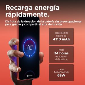 PB310004SE-Galeria-15