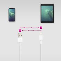Miniatura 5 de CABLE USB NANO CABLE LIGHTNING/M - USB A/M 0,50CM BLANCO
