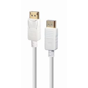 CC-DP2-6-W-Galeria-1