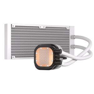 CW-9060094-WW-Galeria-7