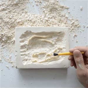 IN-ORI-E010-9-Galeria-2