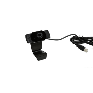 LEWCAM2005-Galeria-1