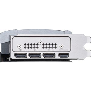 912-V531-297-Galeria-3