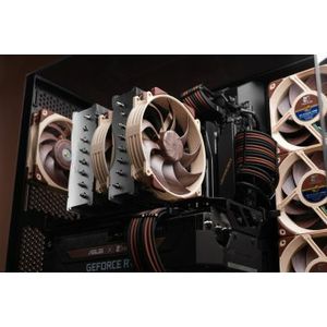 NH-D15-G2-Galeria-5