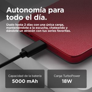 PB6L0005SE-Galeria-10