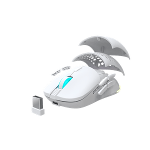 NS-MS-ARAKNE-ELITE-IV-Galeria-1