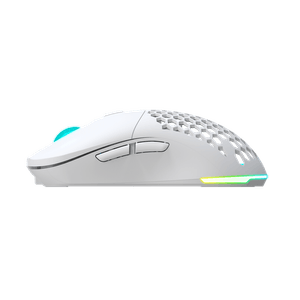 NS-MS-ARAKNE-ELITE-IV-Galeria-2