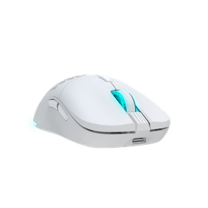 NS-MS-ARAKNE-ELITE-IV-Galeria-4