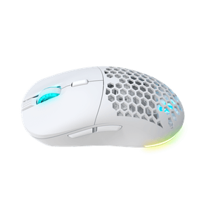 NS-MS-ARAKNE-ELITE-IV-Galeria-5