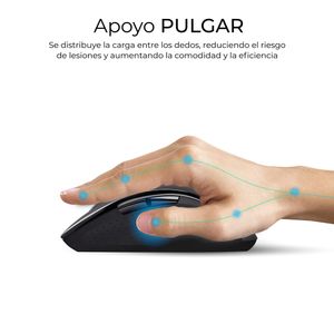 SUBKBC-DCOPW2-Galeria-9