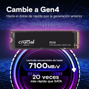CT4000P310SSD8-Galeria-2