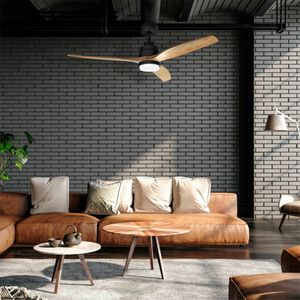 NEPAL-NEGRO-HAYA-Galeria-4