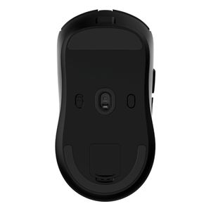 COO-MOU-W03-B-Galeria-4