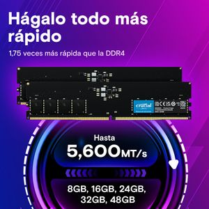 CT64G56C46U5-Galeria-3
