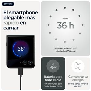 PB8R0003SE-Galeria-32