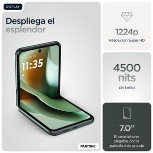 PB8R0003SE-Galeria-33