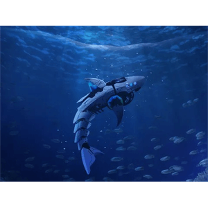 ABK-FFNN-S38L1-R1-Galeria-3