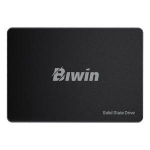 BIWIN--M100--SSD-1000GB-2.5---550MB-s-Serial-ATA-III