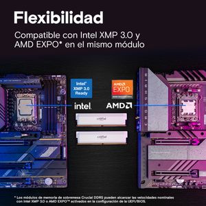 CP2K32G64C40U5W-Galeria-4