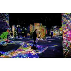 V11HA52940-Galeria-3