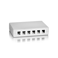 Miniatura 1 de CAJA DE SUPERFICIE EQUIP KEYSTONE PARA 12 ROSETAS  125460