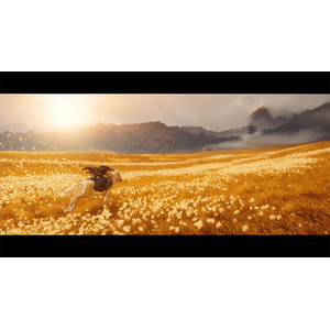 1000048555-Galeria-8