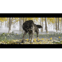 Miniatura 9 de Juego Sony PS5 Ghost of Yotei