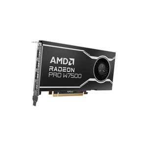 Tarjeta-Grafica-AMD-Radeon-Pro-W7500-GDDR6-8GB