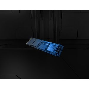 SFYR2S-1T0-Galeria-12