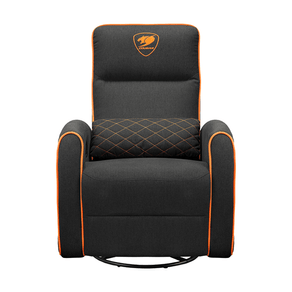Cougar-Sillon-Fidom
