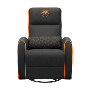 Cougar-Sillon-Fidom