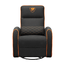 Cougar-Sillon-Fidom