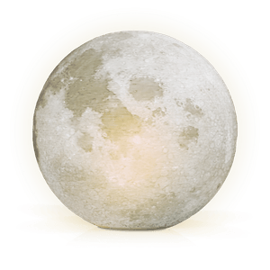 8435532918271-Galeria-3