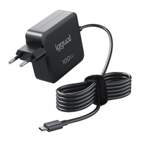 Miniatura 1 de iggual Cargador portátil y móvil tipo C PD 100W