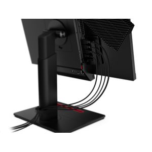 11GCPAT1EU-Galeria-10