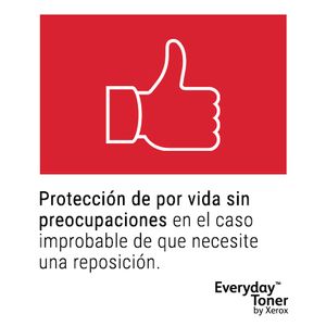 006R04205-Galeria-14