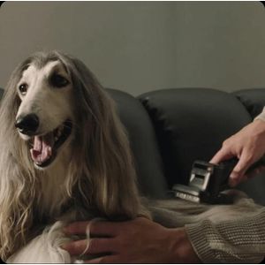 010101AB000469-Galeria-11