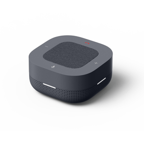 Google-Meet-Orion-Speakermic