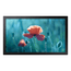 MONITOR SAMSUNG QB13C   13