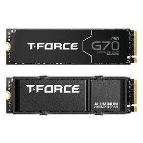 DISCO-DURO-SSD-2000GB-M.2--TEAMGROUP-T-FORCEG70-PRO-7400MB-s-PCI-Express-4.0-NVMe